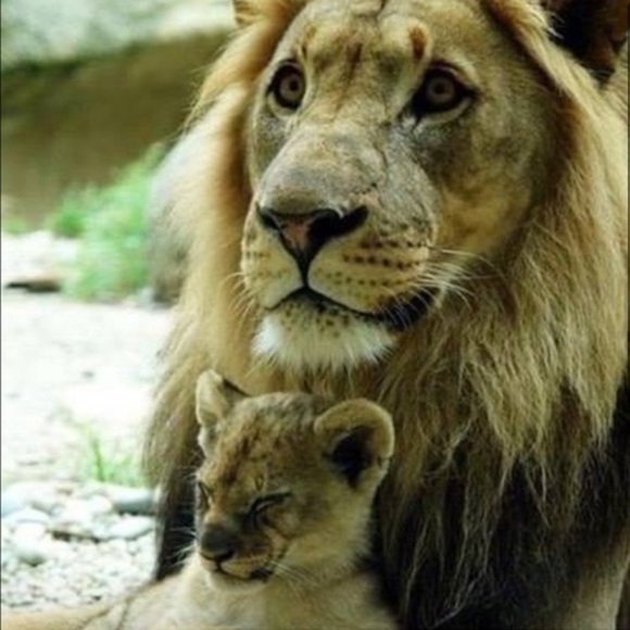 Join My Posh Show! - Picture 1 of 1